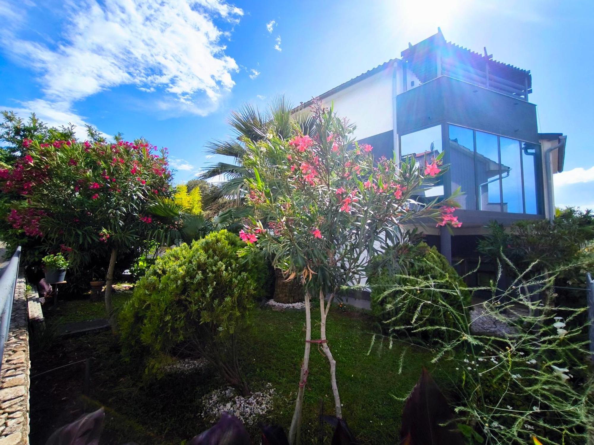 Apartmani Andrea Pula Exterior photo