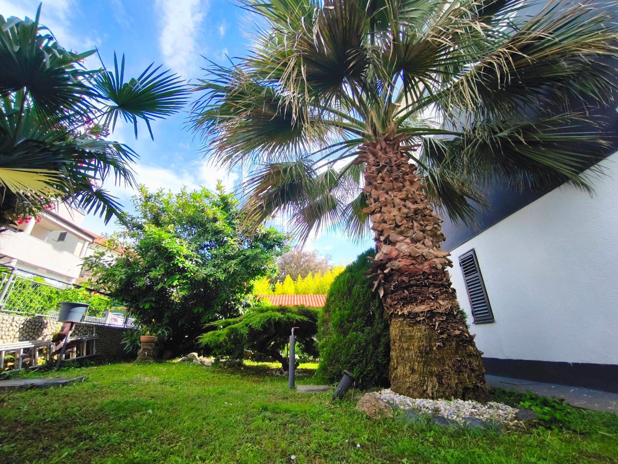 Apartmani Andrea Pula Exterior photo